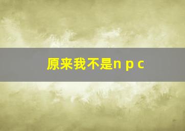 原来我不是n p c